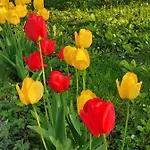 Bed & Breakfast Entre Meuse Et Foret Revin (Ardennes)