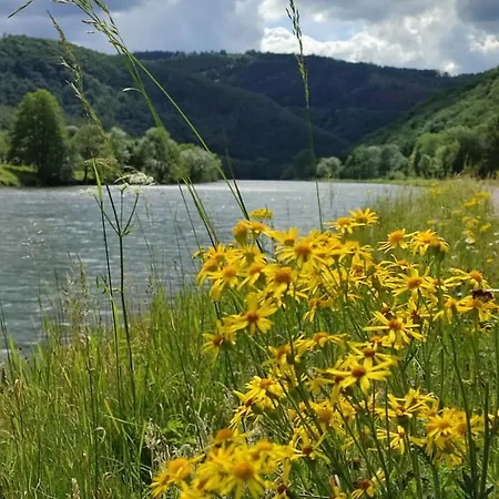 Entre Meuse Et Foret