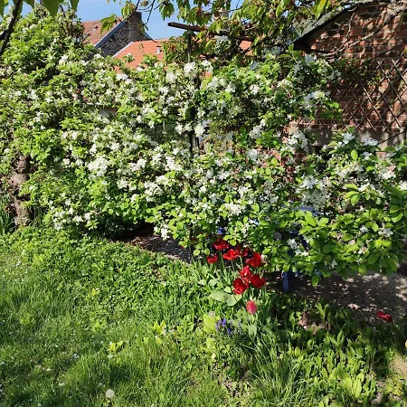 Entre Meuse Et Foret 住宿加早餐酒店 Revin (Ardennes)