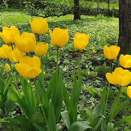 Entre Meuse Et Foret 3*