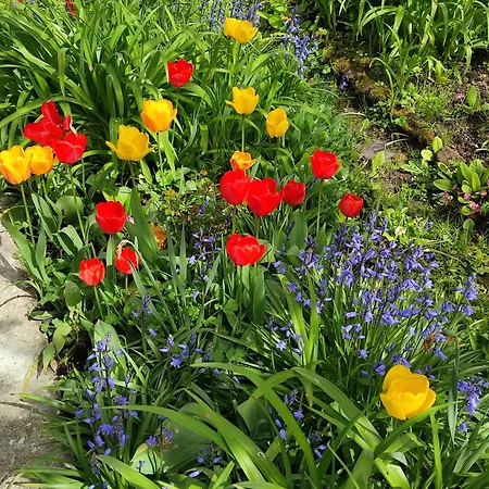 Entre Meuse Et Foret 3* Revin (Ardennes)