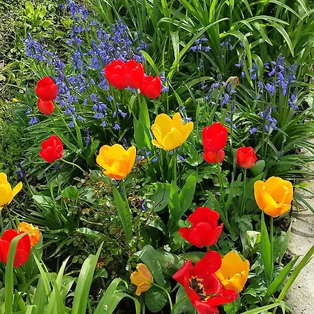 住宿加早餐酒店 Entre Meuse Et Foret 3*