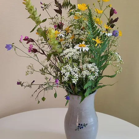 Entre Meuse Et Foret Revin (Ardennes)