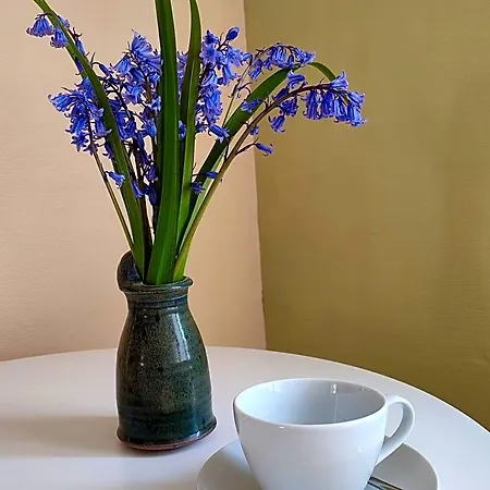 Entre Meuse Et Foret Bed & Breakfast Revin (Ardennes)